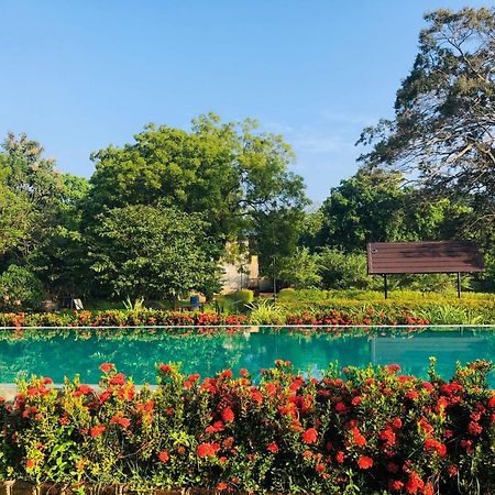 Lolu Village Resort Anuradhapura Exteriör bild