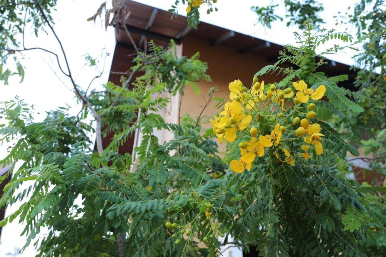 Lolu Village Resort Anuradhapura Exteriör bild
